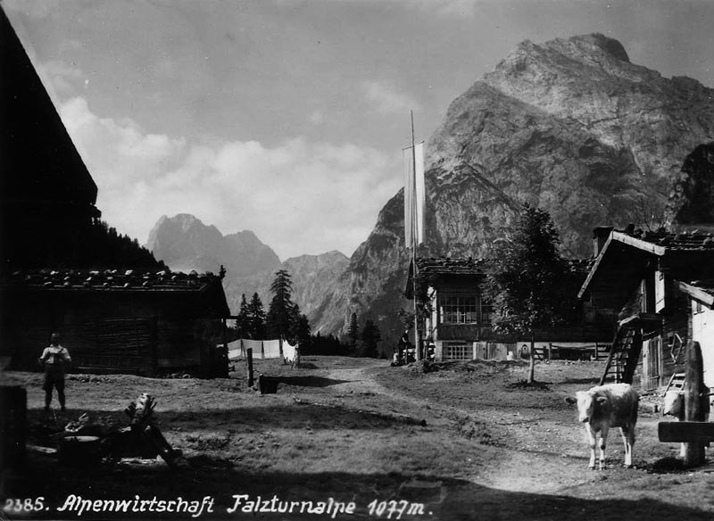 Einrichtung und Küche planen in Pertisau