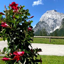 Sonnenterrasse in Pertisau mit Ausblick auf das Karwendelgebirge