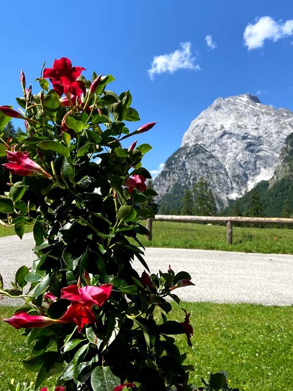 Sonnenterrasse in Pertisau mit Ausblick auf das Karwendelgebirge